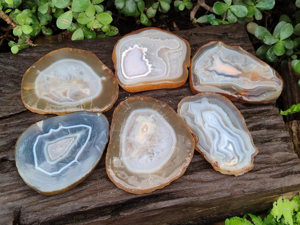 Polished and Natural Large Banded Agate Slices with Natural Edging x 6 From Madagascar - Toprock Gemstones and Minerals 