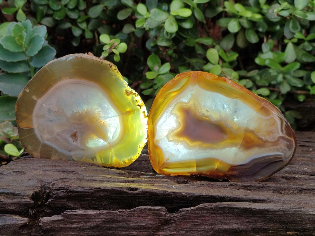 Polished and Natural Large Banded Agate Slices with Natural Edging x 6 From Madagascar - Toprock Gemstones and Minerals 