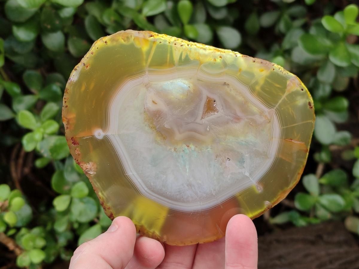 Polished and Natural Large Banded Agate Slices with Natural Edging x 6 From Madagascar - Toprock Gemstones and Minerals 