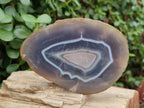 Polished and Natural Large Banded Agate Slices with Natural Edging x 6 From Madagascar - Toprock Gemstones and Minerals 