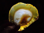 Polished and Natural Large Banded Agate Slices with Natural Edging x 6 From Madagascar - Toprock Gemstones and Minerals 