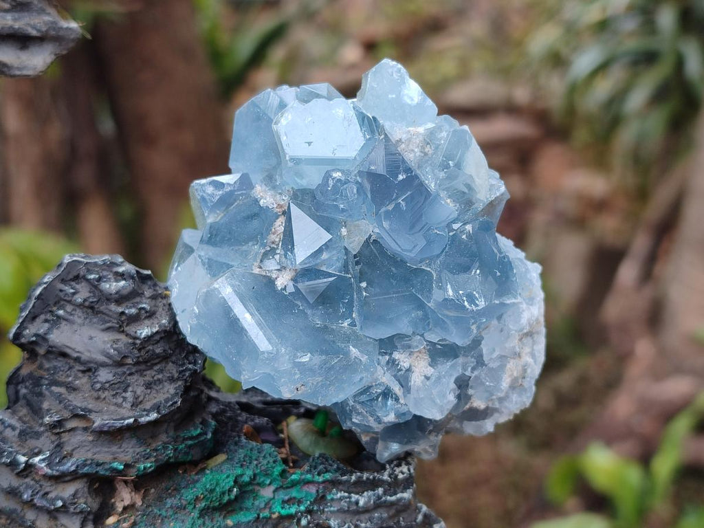 Natural Blue Celestite Geode Specimens x 23 From Sakoany, Madagascar - Toprock Gemstones and Minerals 