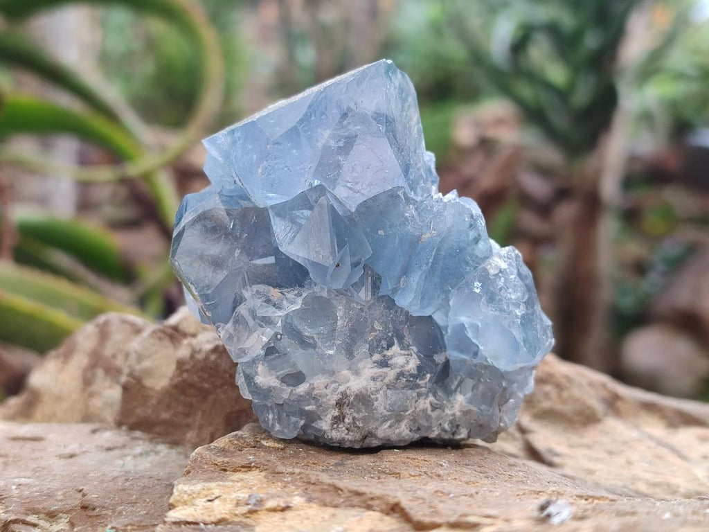 Natural Blue Celestite Geode Specimens x 23 From Sakoany, Madagascar - Toprock Gemstones and Minerals 