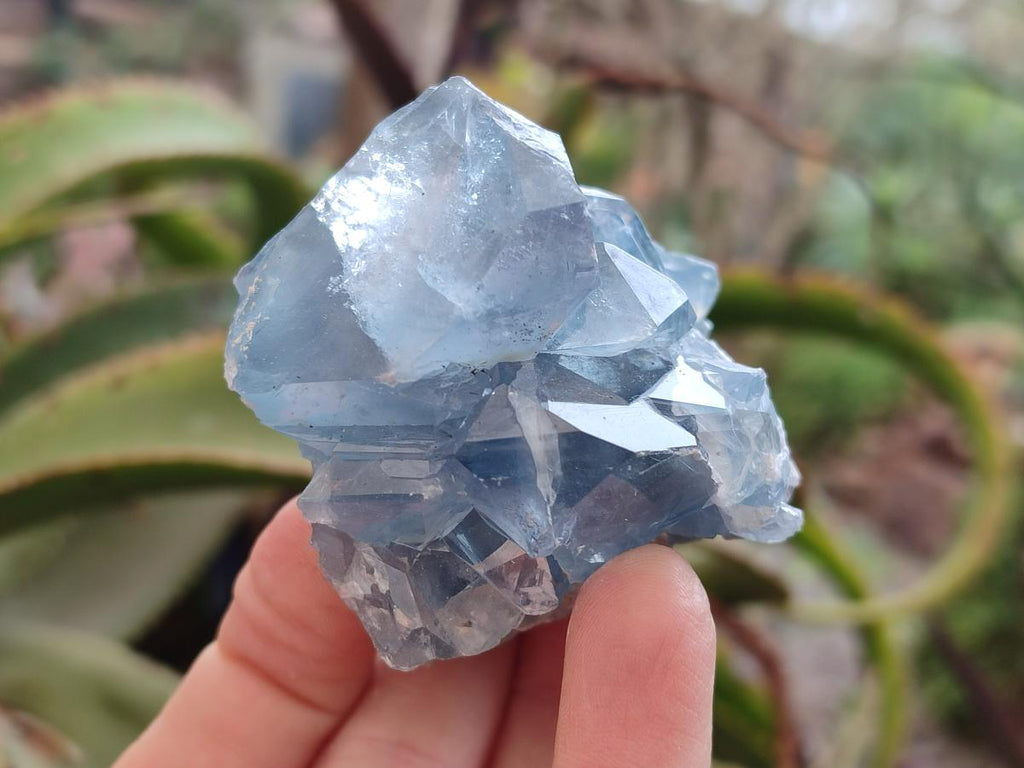 Natural Blue Celestite Geode Specimens x 23 From Sakoany, Madagascar - Toprock Gemstones and Minerals 