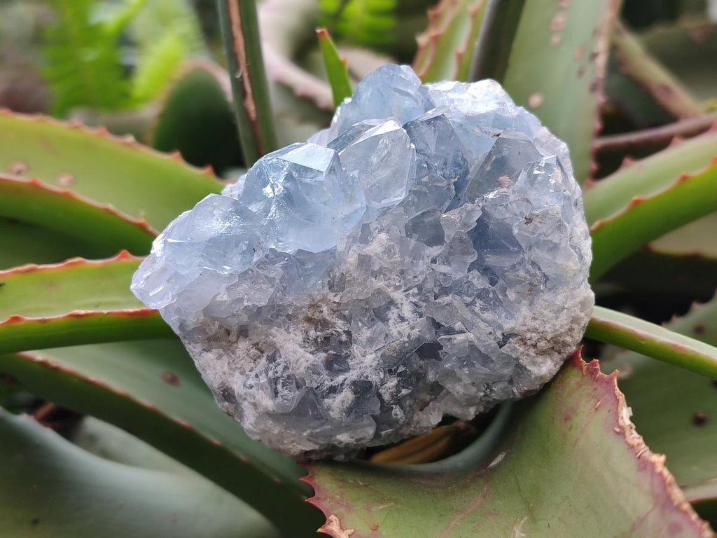 Natural Blue Celestite Geode Specimens x 23 From Sakoany, Madagascar - Toprock Gemstones and Minerals 