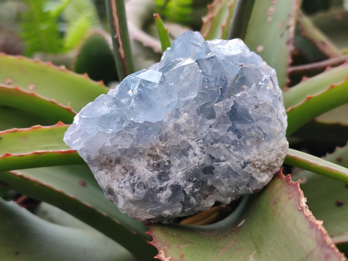 Natural Blue Celestite Geode Specimens x 23 From Sakoany, Madagascar - Toprock Gemstones and Minerals 