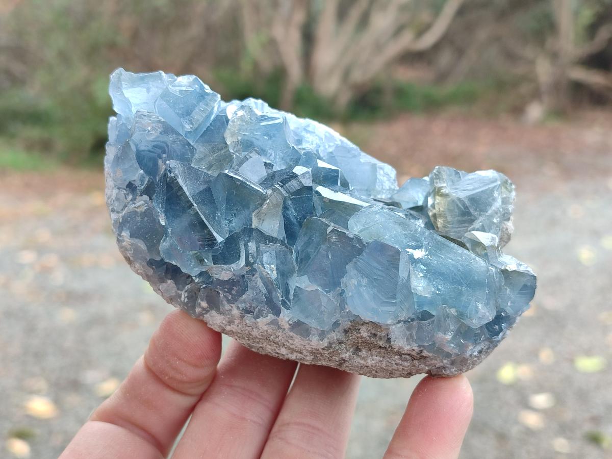 Natural Blue Celestite Geode Specimens x 23 From Sakoany, Madagascar - Toprock Gemstones and Minerals 