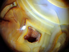 Polished and Natural Large Carnelian Agate Gemstone Spheres x 2 From Madagascar - Toprock Gemstones and Minerals 