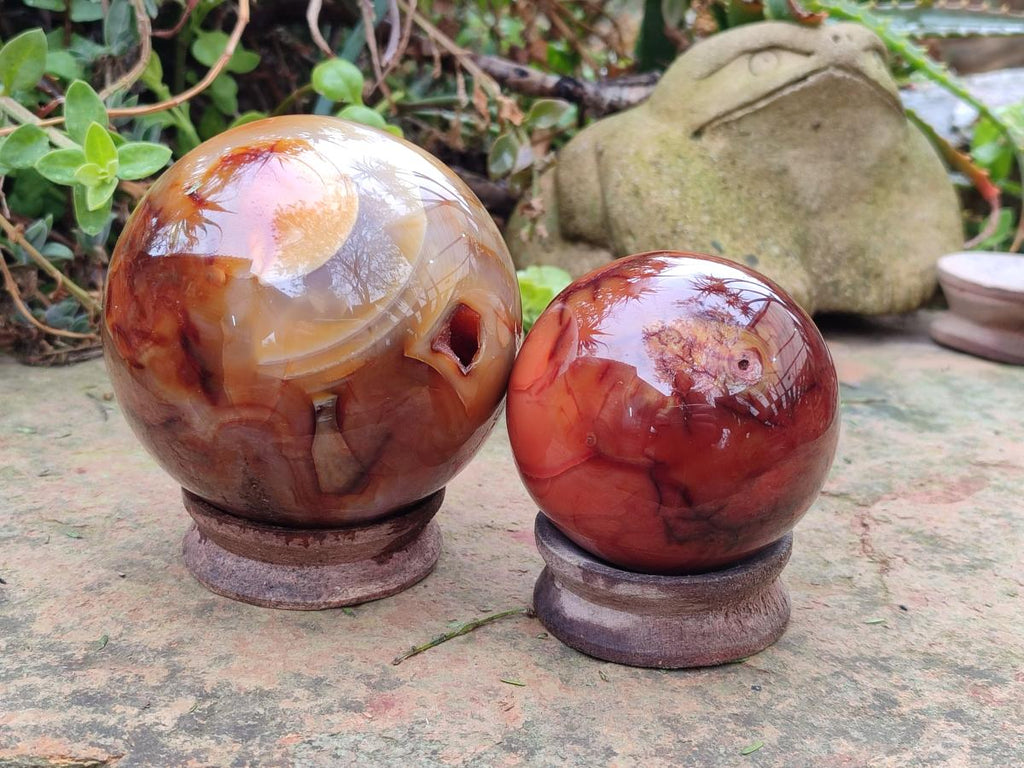 Polished and Natural Large Carnelian Agate Gemstone Spheres x 2 From Madagascar - Toprock Gemstones and Minerals 