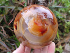 Polished and Natural Large Carnelian Agate Gemstone Spheres x 2 From Madagascar - Toprock Gemstones and Minerals 