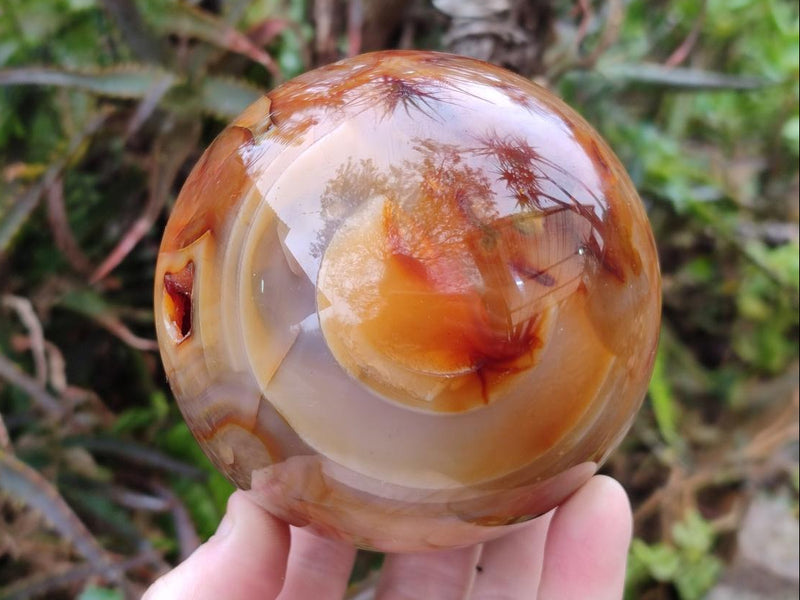 Polished and Natural Large Carnelian Agate Gemstone Spheres x 2 From Madagascar - Toprock Gemstones and Minerals 