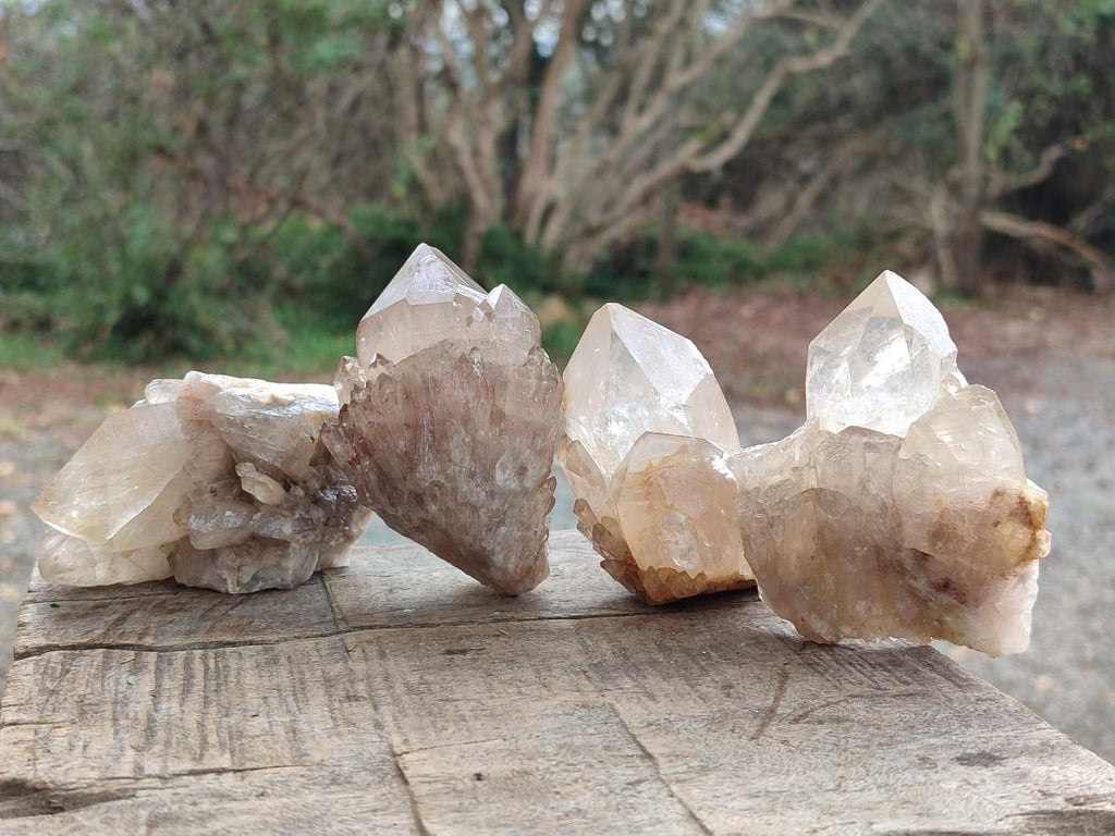 Natural Mixed Citrine and Luena Quartz Cascading Crystal Clusters x 12 From Luena, Congo - Toprock Gemstones and Minerals 