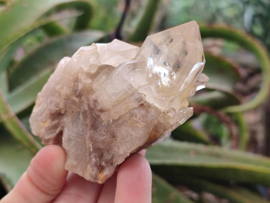 Natural Mixed Citrine and Luena Quartz Cascading Crystal Clusters x 12 From Luena, Congo - Toprock Gemstones and Minerals 