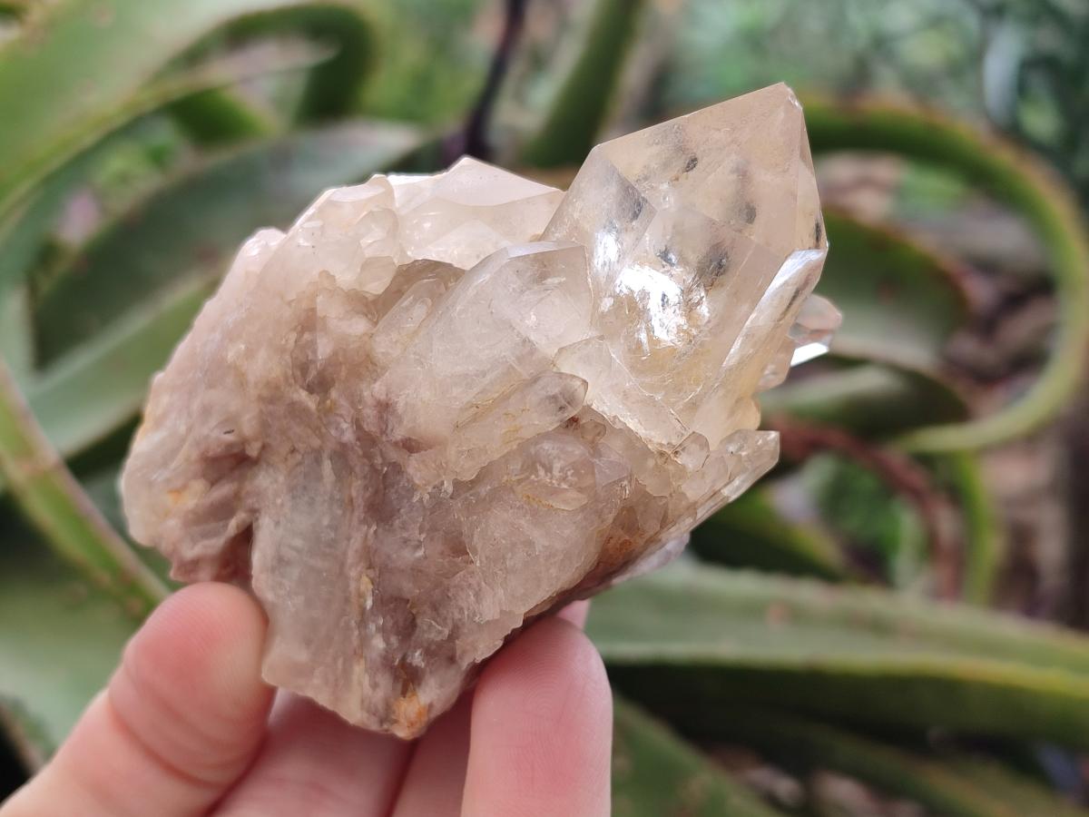 Natural Mixed Citrine and Luena Quartz Cascading Crystal Clusters x 12 From Luena, Congo - Toprock Gemstones and Minerals 