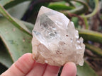 Natural Mixed Citrine and Luena Quartz Cascading Crystal Clusters x 12 From Luena, Congo - Toprock Gemstones and Minerals 