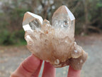 Natural Mixed Citrine and Luena Quartz Cascading Crystal Clusters x 12 From Luena, Congo - Toprock Gemstones and Minerals 