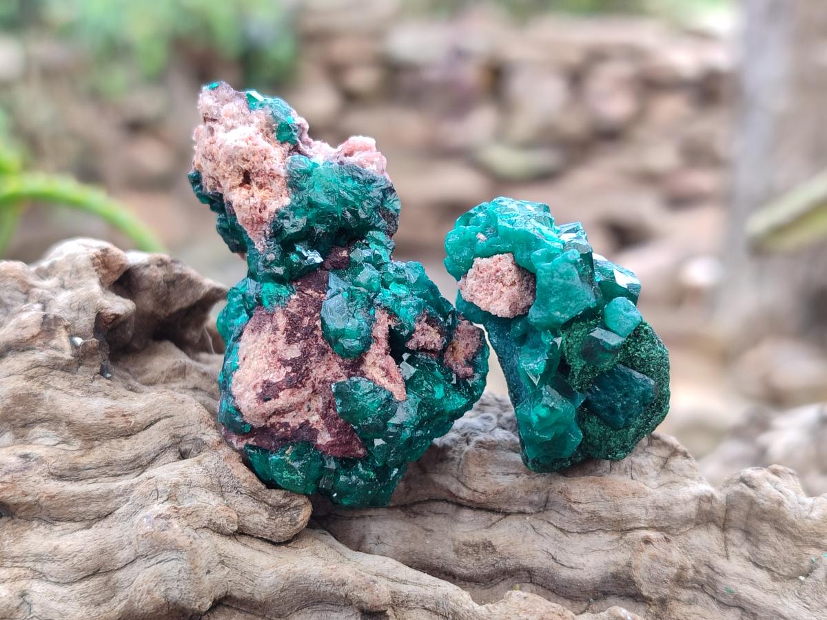 Natural Dioptase on Dolomite Specimens x 12 From Mashamba East Mine, Congo - Toprock Gemstones and Minerals 