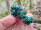 Natural Dioptase on Dolomite Specimens x 12 From Mashamba East Mine, Congo - Toprock Gemstones and Minerals 