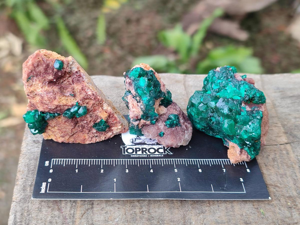 Natural Dioptase on Dolomite Specimens x 12 From Mashamba East Mine, Congo - Toprock Gemstones and Minerals 