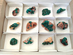 Natural Dioptase on Dolomite Specimens x 12 From Mashamba East Mine, Congo - Toprock Gemstones and Minerals 