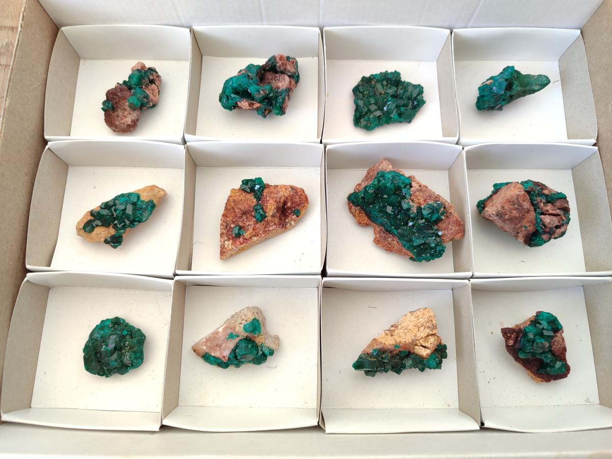 Natural Dioptase on Dolomite Specimens x 12 From Mashamba East Mine, Congo - Toprock Gemstones and Minerals 