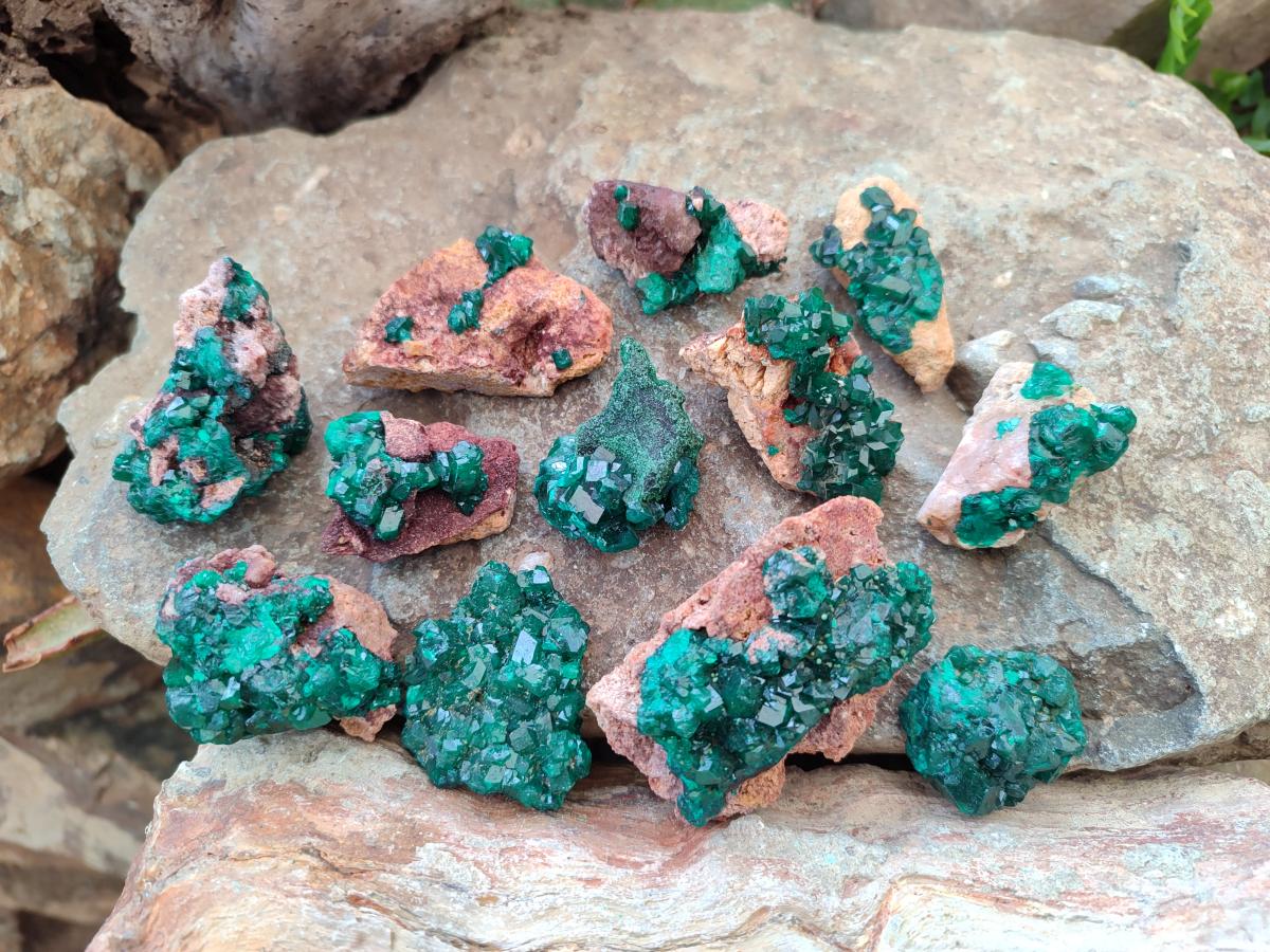 Natural Dioptase on Dolomite Specimens x 12 From Mashamba East Mine, Congo - Toprock Gemstones and Minerals 