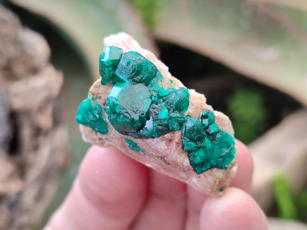 Natural Dioptase on Dolomite Specimens x 12 From Mashamba East Mine, Congo - Toprock Gemstones and Minerals 