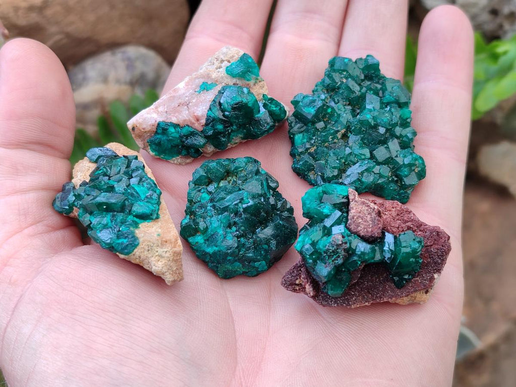Natural Dioptase on Dolomite Specimens x 12 From Mashamba East Mine, Congo - Toprock Gemstones and Minerals 