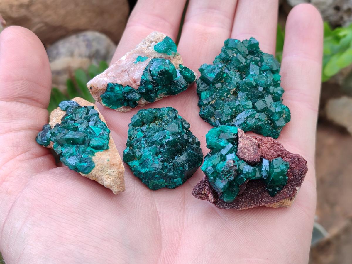 Natural Dioptase on Dolomite Specimens x 12 From Mashamba East Mine, Congo - Toprock Gemstones and Minerals 