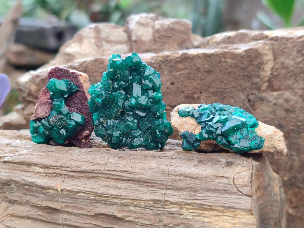 Natural Dioptase on Dolomite Specimens x 12 From Mashamba East Mine, Congo - Toprock Gemstones and Minerals 