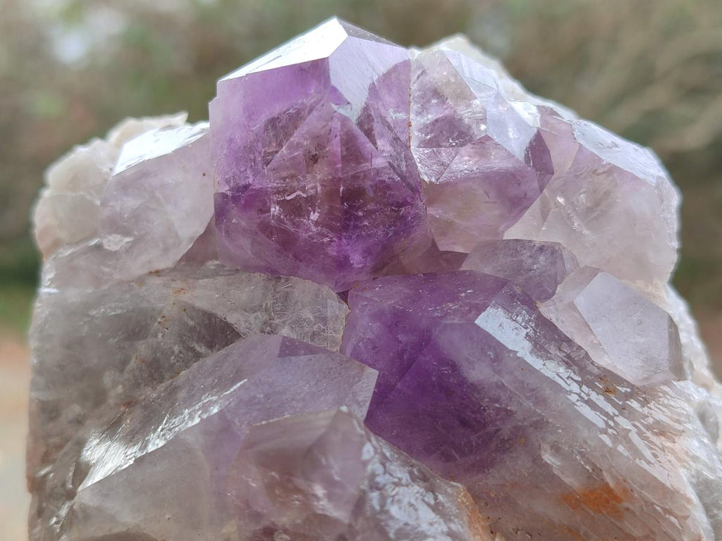 Natural Jacaranda Amethyst Clusters x 2 From Mumbwa, Zambia - Toprock Gemstones and Minerals 