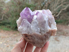 Natural Jacaranda Amethyst Clusters x 2 From Mumbwa, Zambia - Toprock Gemstones and Minerals 
