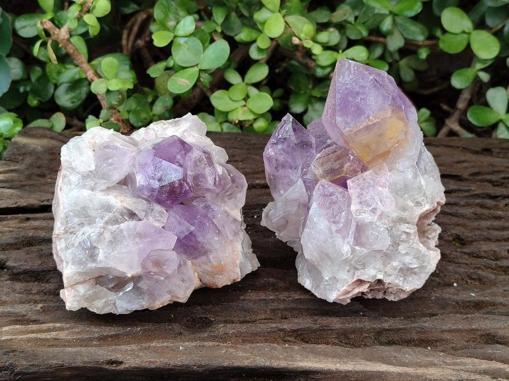Natural Jacaranda Amethyst Clusters x 2 From Mumbwa, Zambia - Toprock Gemstones and Minerals 