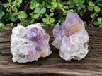 Natural Jacaranda Amethyst Clusters x 2 From Mumbwa, Zambia - Toprock Gemstones and Minerals 