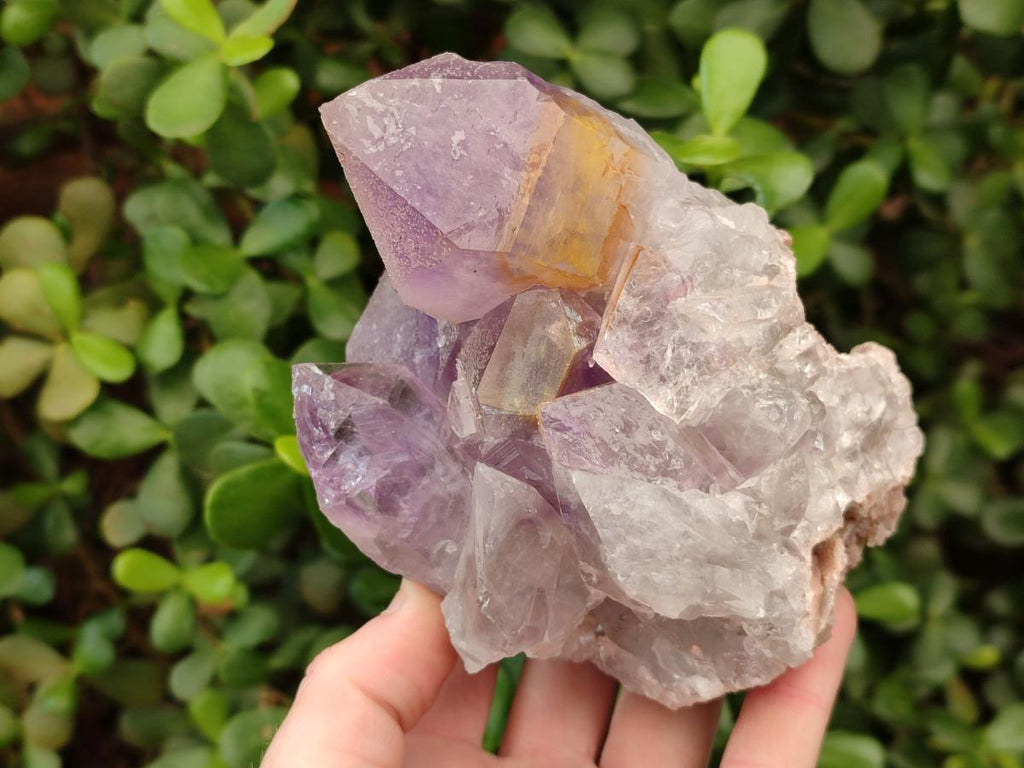 Natural Jacaranda Amethyst Clusters x 2 From Mumbwa, Zambia - Toprock Gemstones and Minerals 