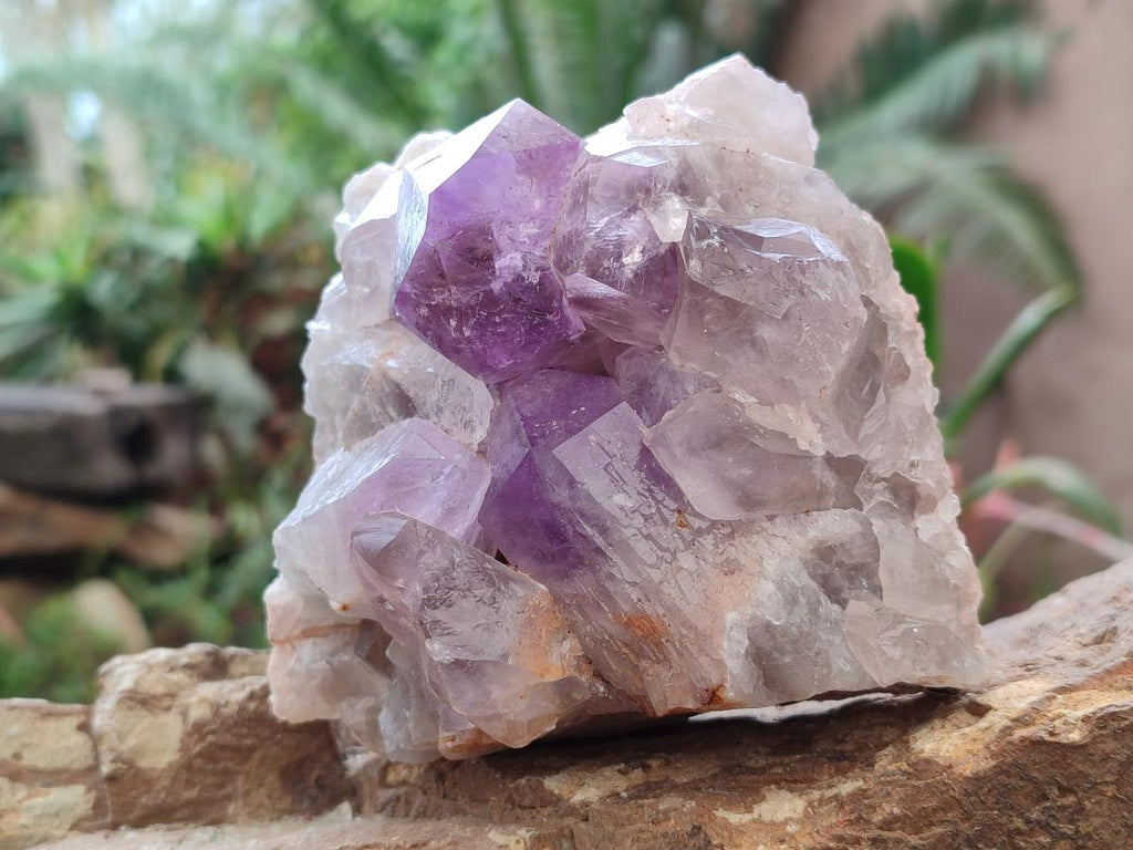Natural Jacaranda Amethyst Clusters x 2 From Mumbwa, Zambia - Toprock Gemstones and Minerals 