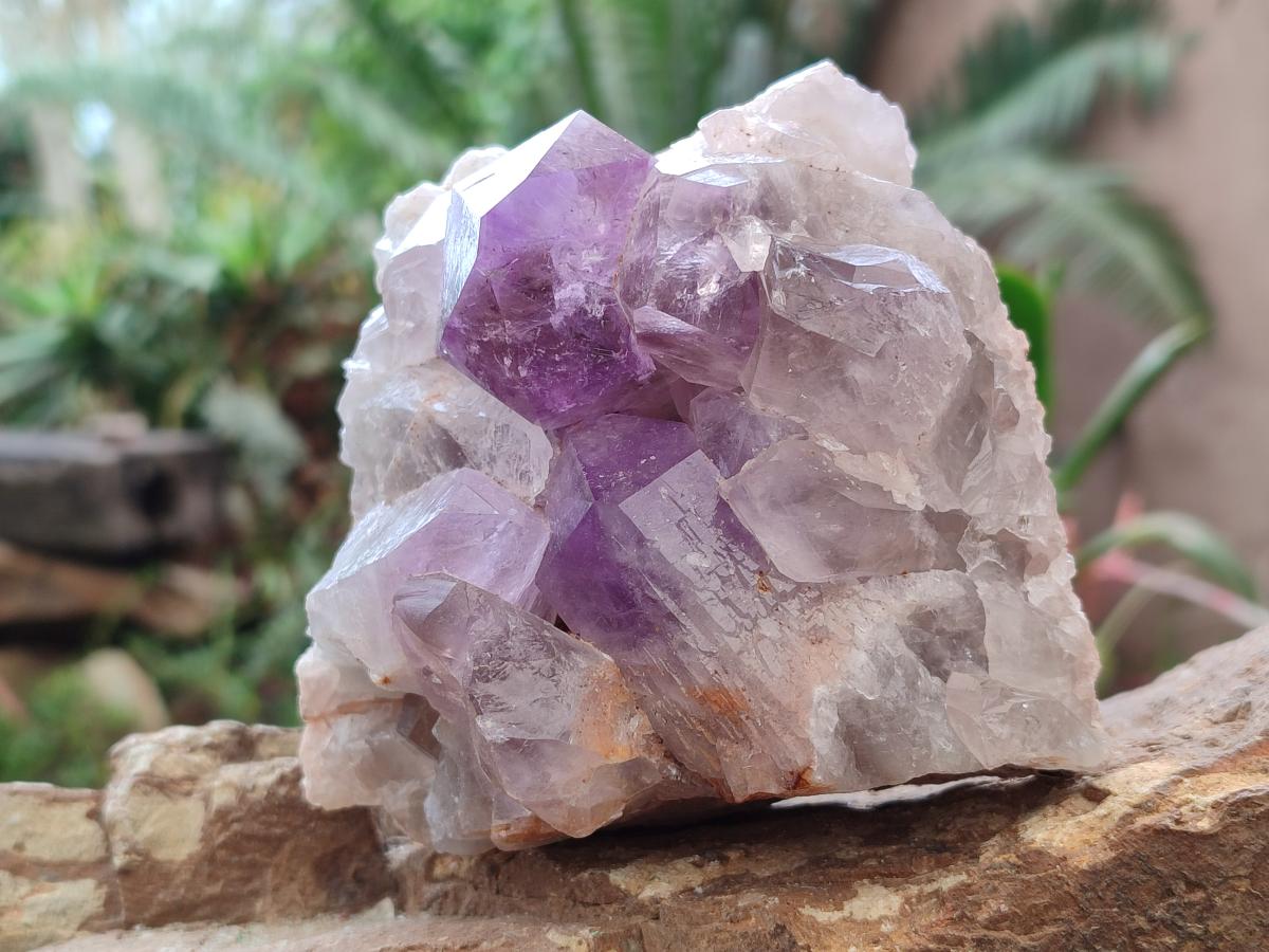 Natural Jacaranda Amethyst Clusters x 2 From Mumbwa, Zambia - Toprock Gemstones and Minerals 