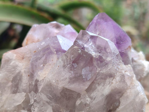 Natural Jacaranda Amethyst Clusters x 2 From Mumbwa, Zambia - Toprock Gemstones and Minerals 
