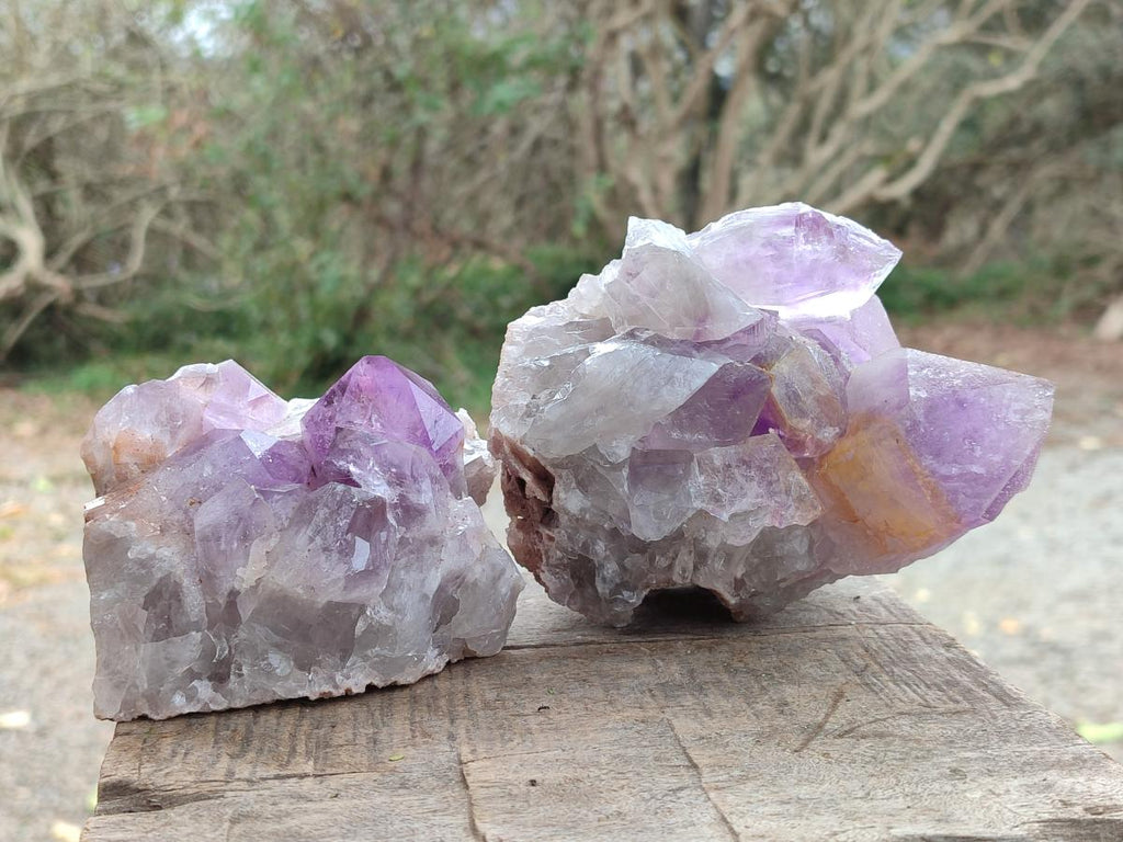 Natural Jacaranda Amethyst Clusters x 2 From Mumbwa, Zambia - Toprock Gemstones and Minerals 