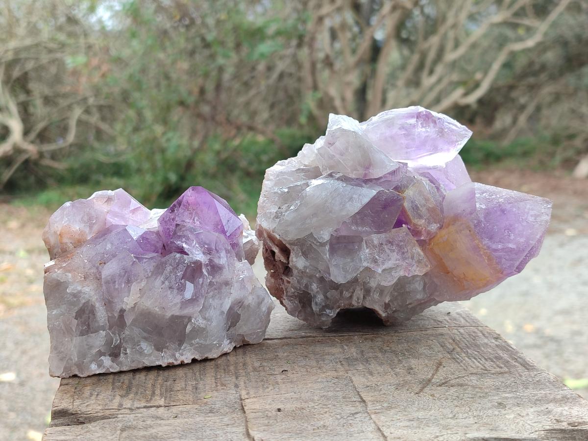 Natural Jacaranda Amethyst Clusters x 2 From Mumbwa, Zambia - Toprock Gemstones and Minerals 