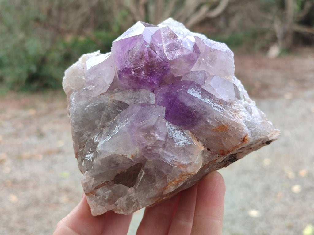 Natural Jacaranda Amethyst Clusters x 2 From Mumbwa, Zambia - Toprock Gemstones and Minerals 