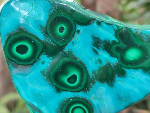 Polished "Bulls Eye" Patterned Malacolla Free Forms x 4 From Kulukuluku, Congo - Toprock Gemstones and Minerals 