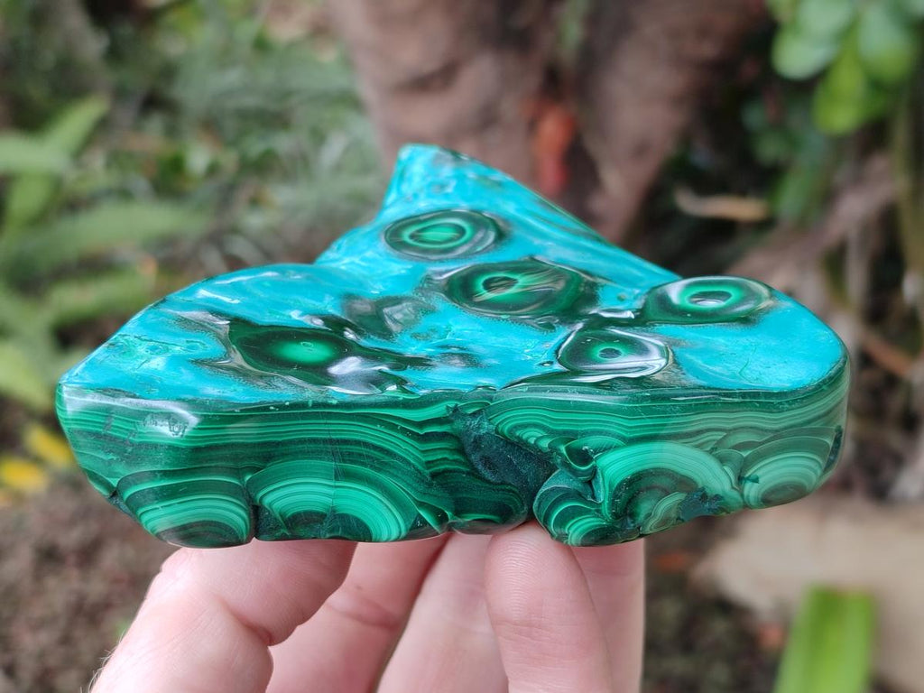 Polished "Bulls Eye" Patterned Malacolla Free Forms x 4 From Kulukuluku, Congo - Toprock Gemstones and Minerals 
