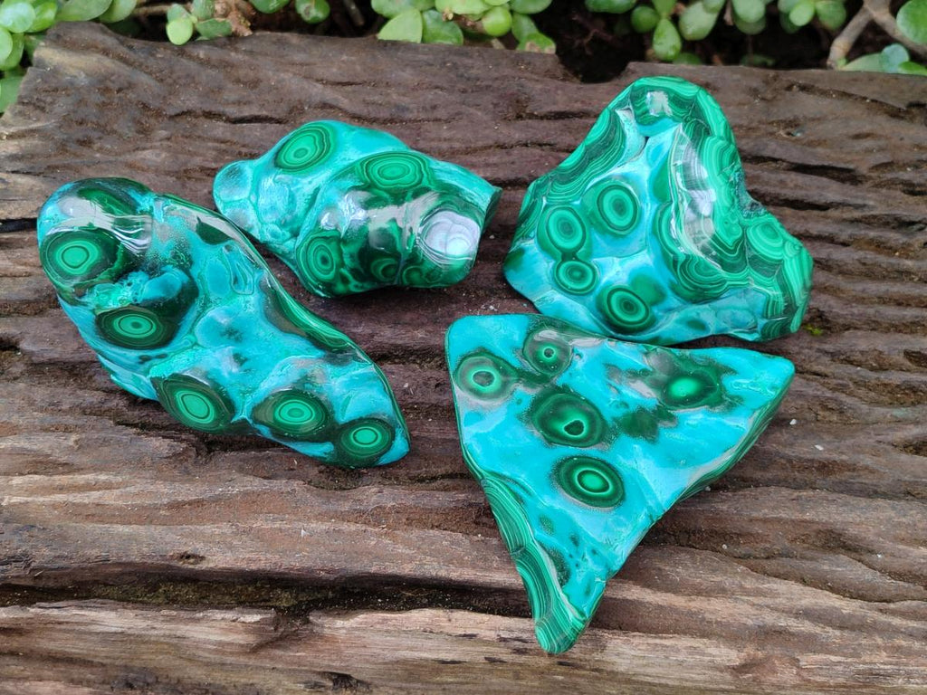 Polished "Bulls Eye" Patterned Malacolla Free Forms x 4 From Kulukuluku, Congo - Toprock Gemstones and Minerals 