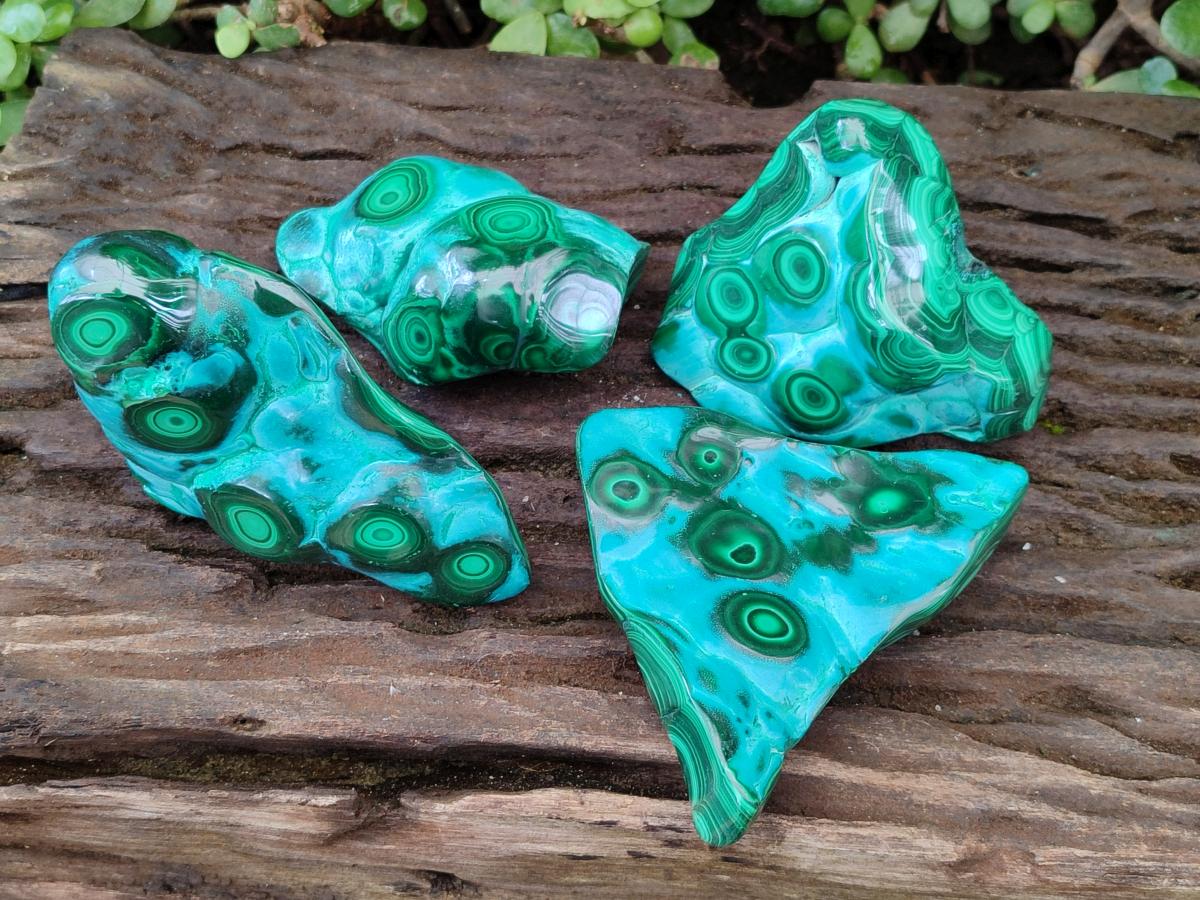 Polished "Bulls Eye" Patterned Malacolla Free Forms x 4 From Kulukuluku, Congo - Toprock Gemstones and Minerals 