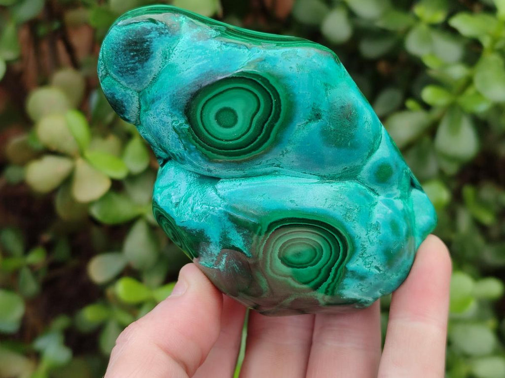 Polished "Bulls Eye" Patterned Malacolla Free Forms x 4 From Kulukuluku, Congo - Toprock Gemstones and Minerals 