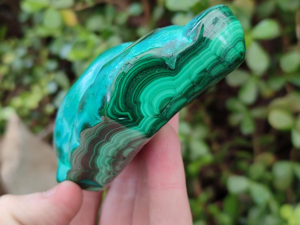 Polished "Bulls Eye" Patterned Malacolla Free Forms x 4 From Kulukuluku, Congo - Toprock Gemstones and Minerals 