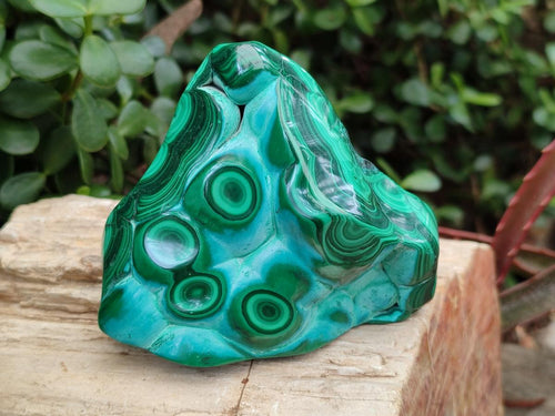 Polished "Bulls Eye" Patterned Malacolla Free Forms x 4 From Kulukuluku, Congo - Toprock Gemstones and Minerals 