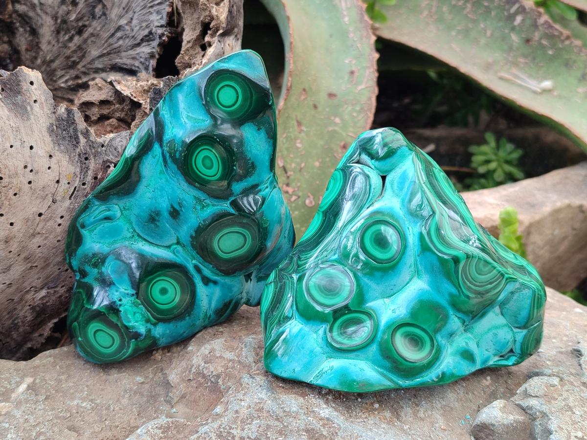 Polished "Bulls Eye" Patterned Malacolla Free Forms x 4 From Kulukuluku, Congo - Toprock Gemstones and Minerals 