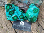 Polished "Bulls Eye" Patterned Malacolla Free Forms x 4 From Kulukuluku, Congo - Toprock Gemstones and Minerals 